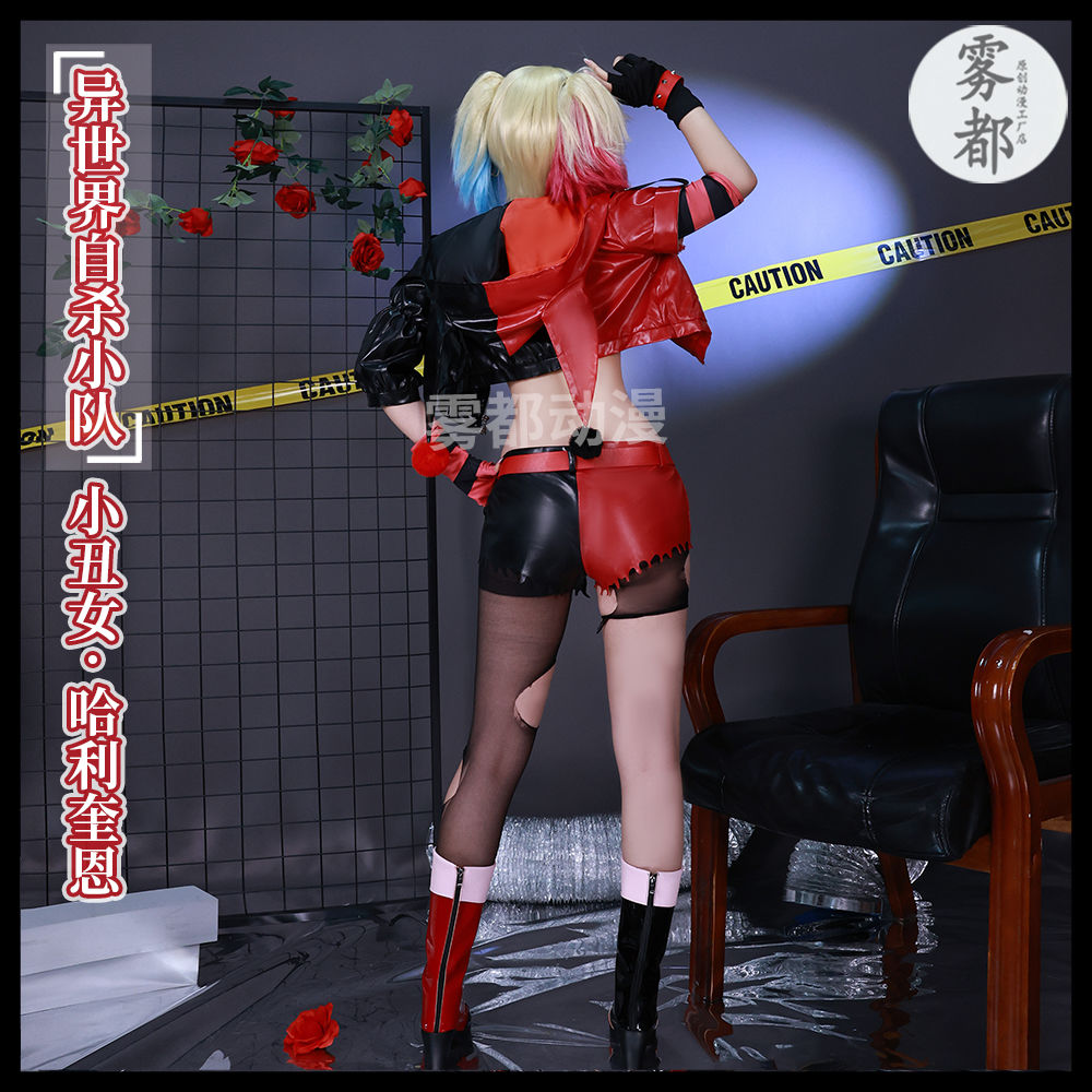Joker Harleen Frances Quinzel  - Anime Harley Quinn Cosplay recensione e prezzo